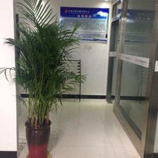 中通信与信息咨询服务 商务信息咨询的专业赋能